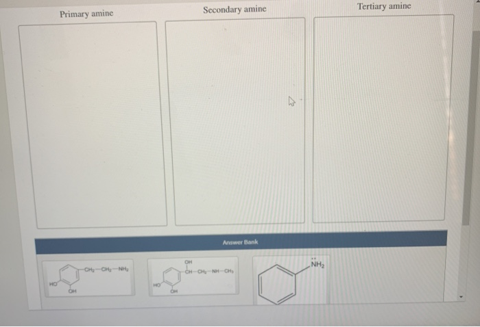 Solved Primary Amine Secondary Amine Tertiary Amine W Answer Chegg