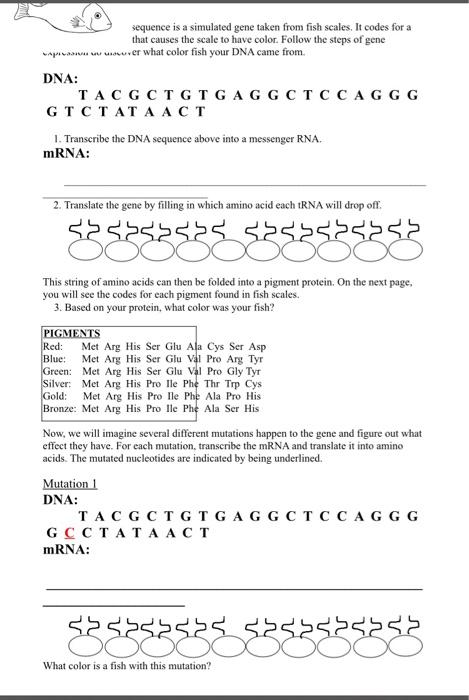 Solved sequence is a simulated gene taken from fish scales. | Chegg.com