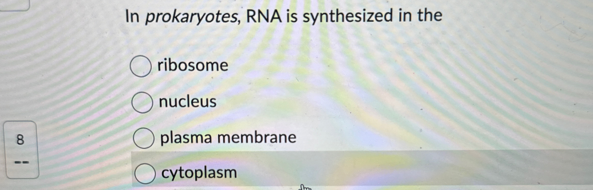 Solved In prokaryotes, RNA is synthesized in | Chegg.com