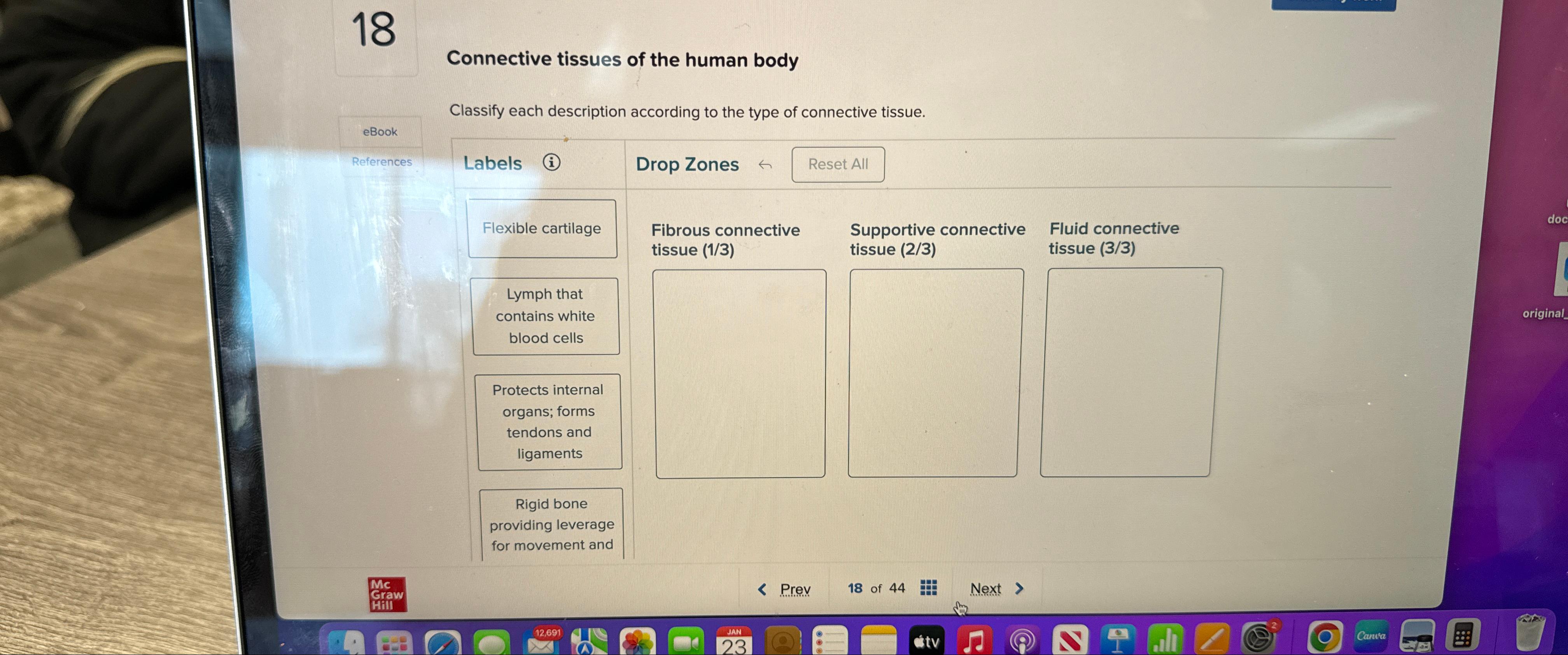 Interactive Anatomy: Master Connective Tissue Labels - ptl4h9h