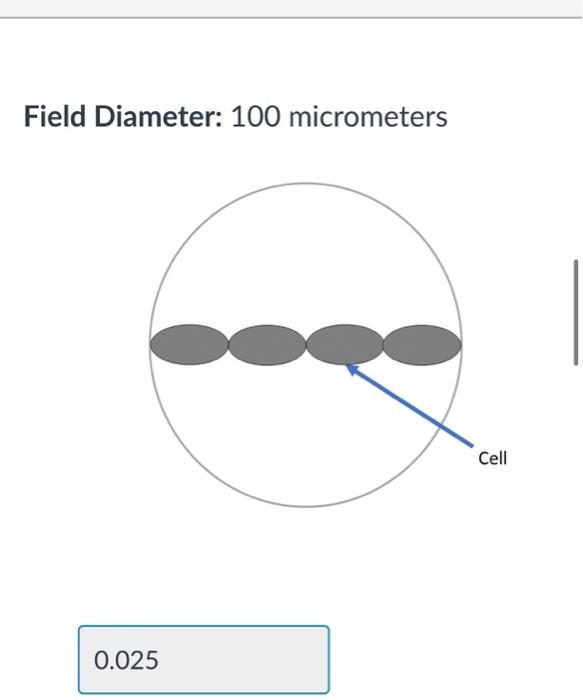Solved Field Diameter 100 micrometers