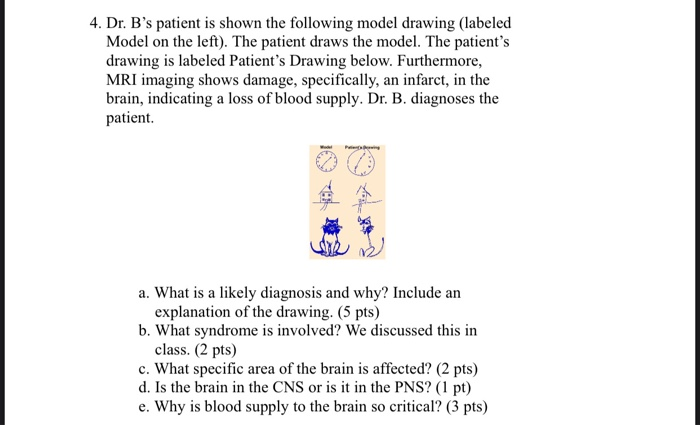 Solved 4. Dr. B's Patient Is Shown The Following Model | Chegg.com