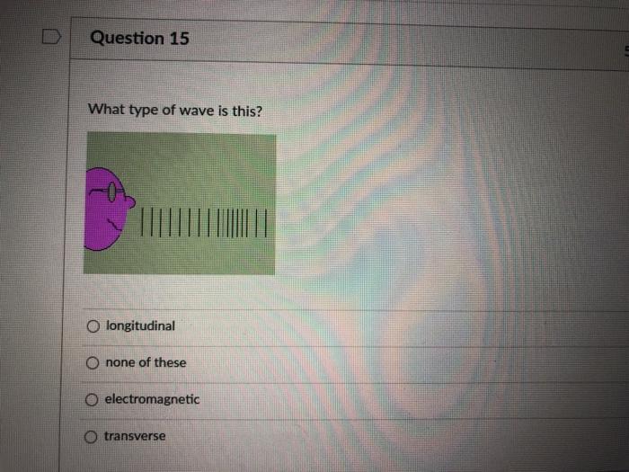 Solved Question 15 What type of wave is this? O longitudinal | Chegg.com