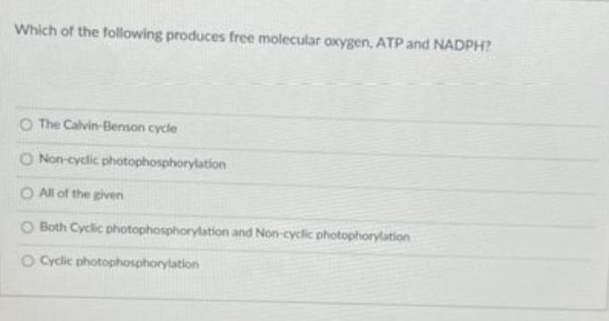 Which of the following produces free molecular oxygen, ATP and NADPH? The Calvin-Bemon cycle Non-cyclic photophosphorylation