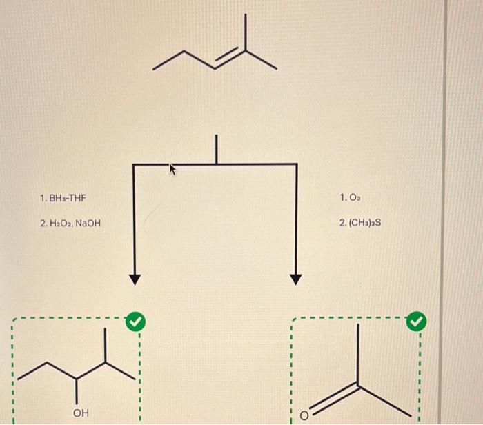 Solved A common alkene starting material is shown below.