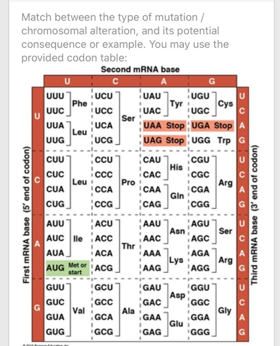 Solved Match between the type of mutation / chromosomal | Chegg.com