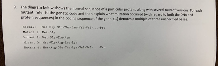 Solved 9. The diagram below shows the normal sequence of a | Chegg.com