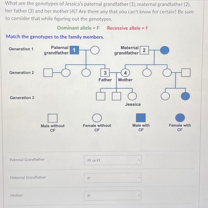 Solved What are the genotypes of Jessica's paternal