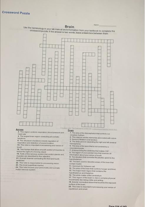 Crossword Puzzle Spinal Cord Use the terminology in Chegg com