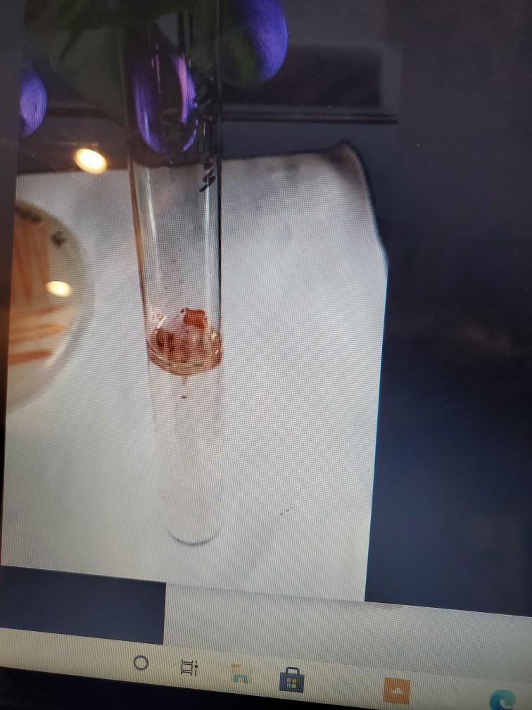 Solved the test is gelatinase. reagents? observation?