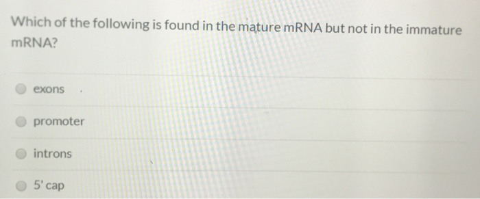 Solved Which of the following is found in the mature mRNA | Chegg.com