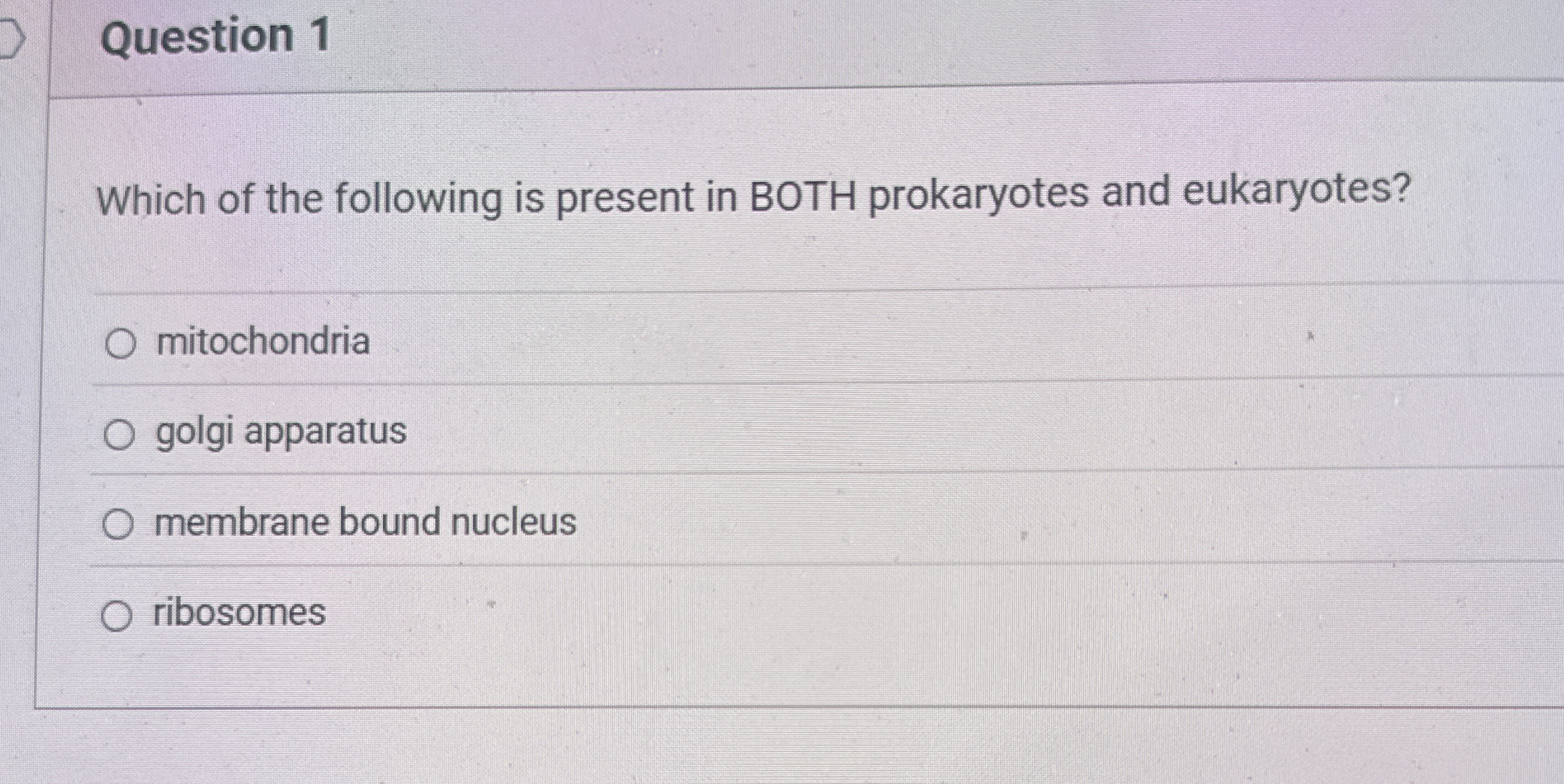 Solved Question 1Which of the following is present in BOTH
