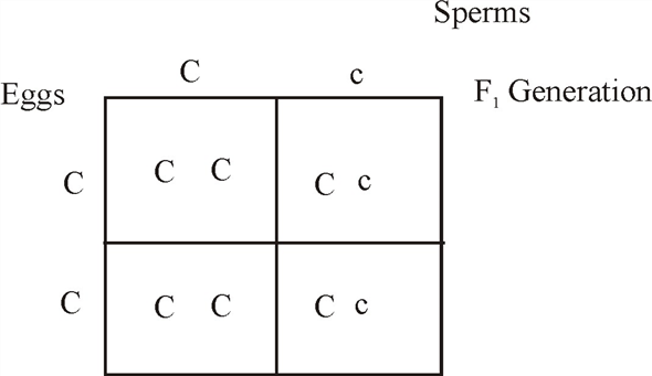 Chapter 14.2 Solutions | Campbell Biology 10th Edition | Chegg.com