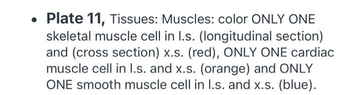 Solved • Plate 11, Tissues: Muscles: color ONLY ONE skeletal | Chegg.com