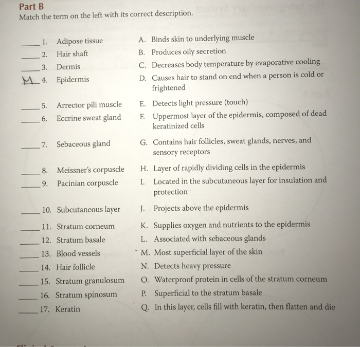 Solved Part B Match the term on the left with its correct | Chegg.com