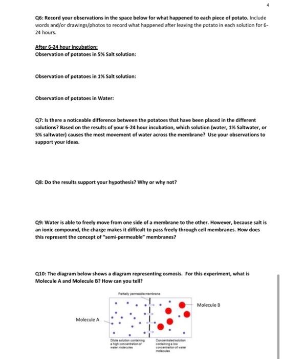 Solved Lab Activity# 2B: Osmosis Learning Objectives: By the | Chegg.com