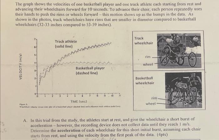 Solved The graph shows the velocities of one basketball | Chegg.com