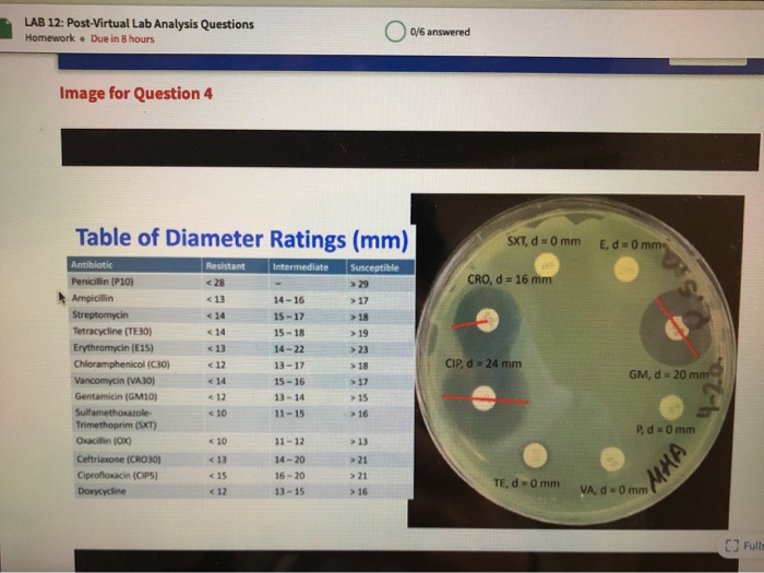 Solved LAB 12 PostVirtual Lab Analysis Questions Homework
