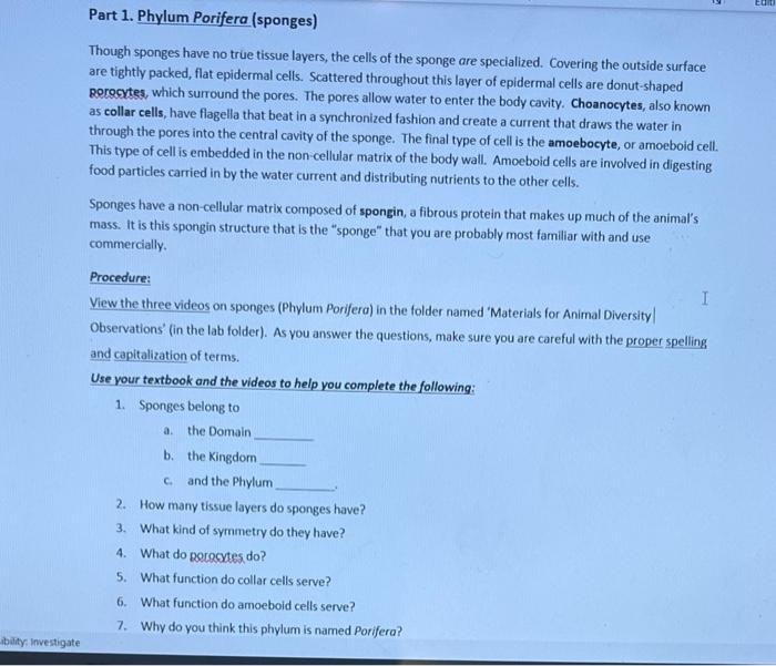 Solved Though sponges have no true tissue layers, the cells