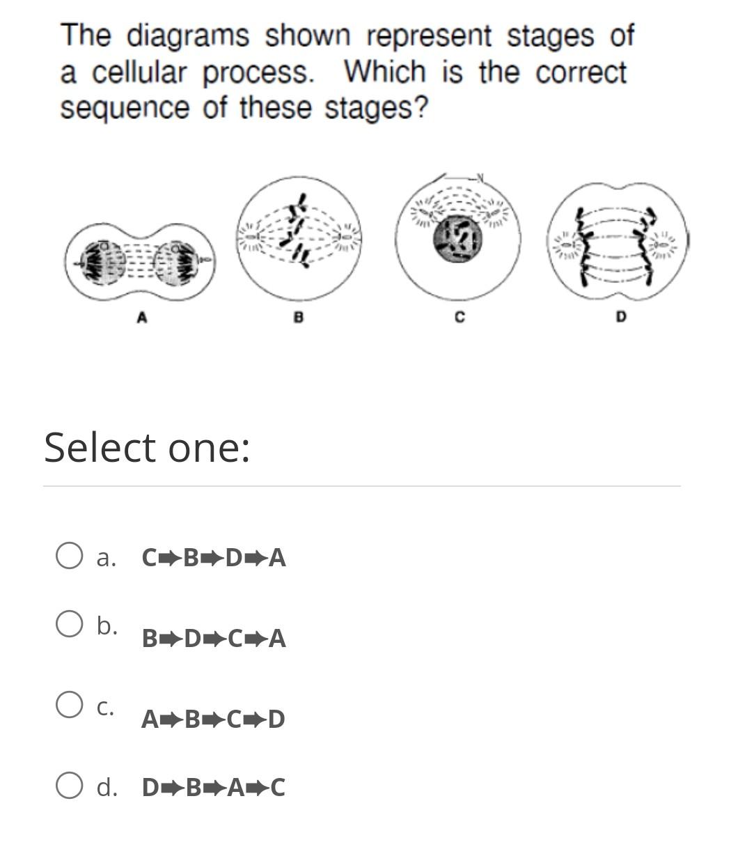 Question | Chegg.com