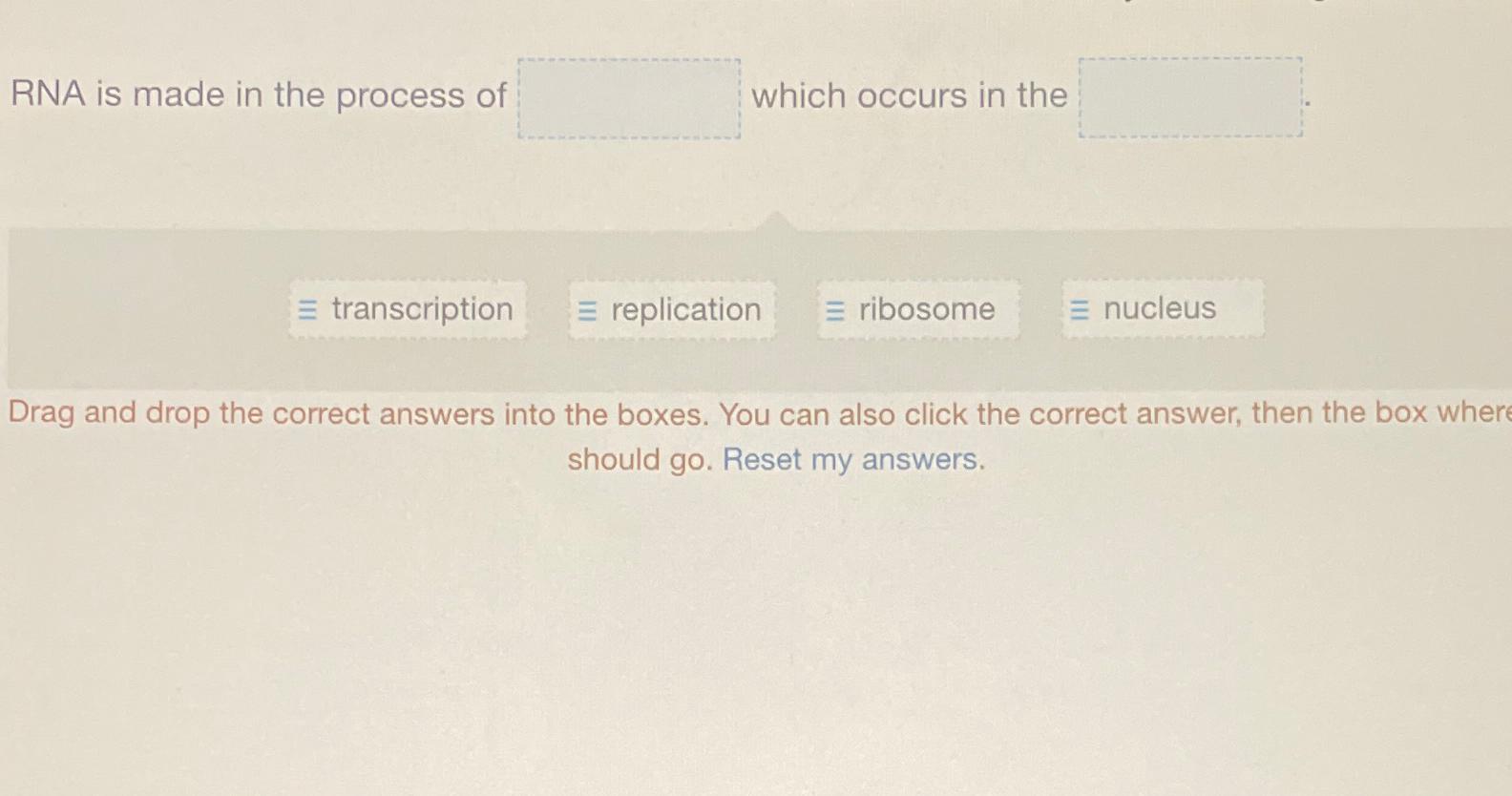Solved RNA is made in the process of which occurs in theDrag | Chegg.com
