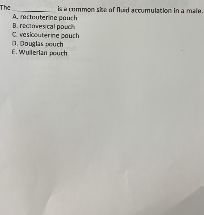 Solved The is a common site of fluid accumulation in a male.