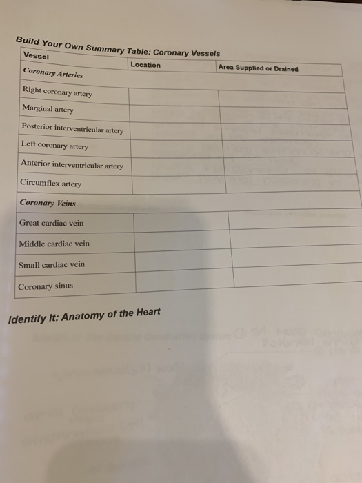 Solved Build Your Own Summary Table Coronary Vessels Ves Chegg Com