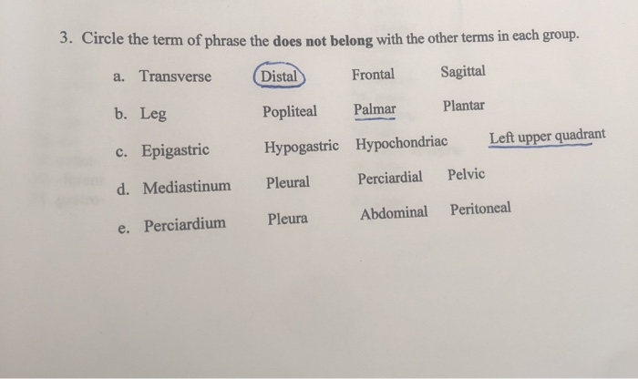 solved-3-circle-the-term-of-phrase-the-does-not-belong-with-chegg