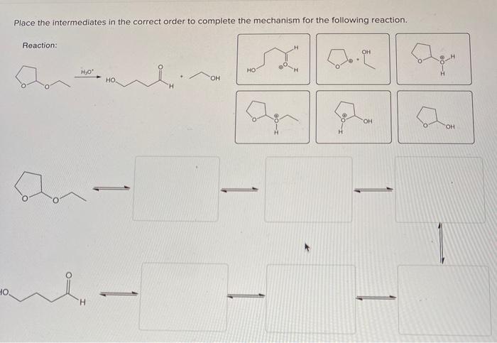 Solved Place the intermediates in the correct order to | Chegg.com