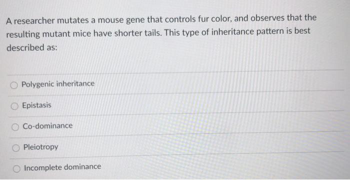 Solved A researcher mutates a mouse gene that controls fur | Chegg.com