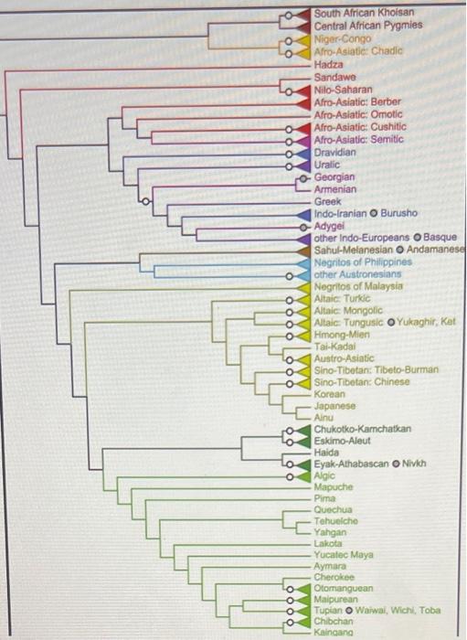 Solved Using The Phylogeny, What Is True: | Chegg.com