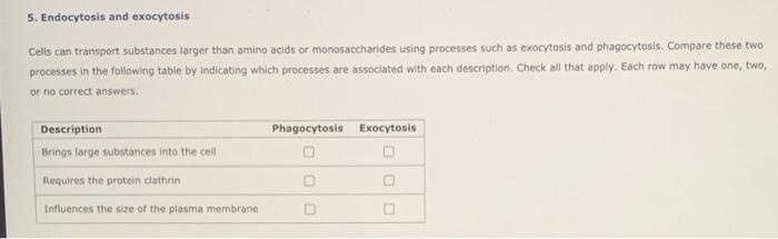 Solved 5 Endocytosis And Exocytosis Cells Can Transport Chegg Com