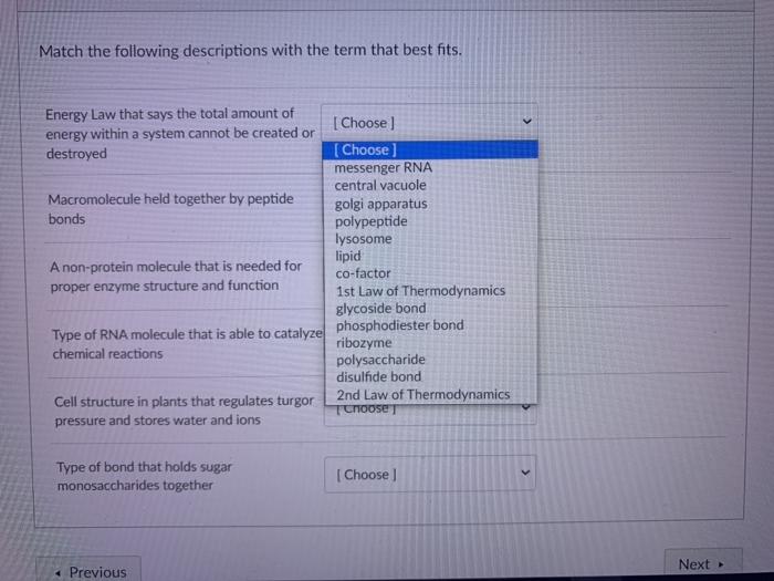 Solved Match the following descriptions with the term that | Chegg.com