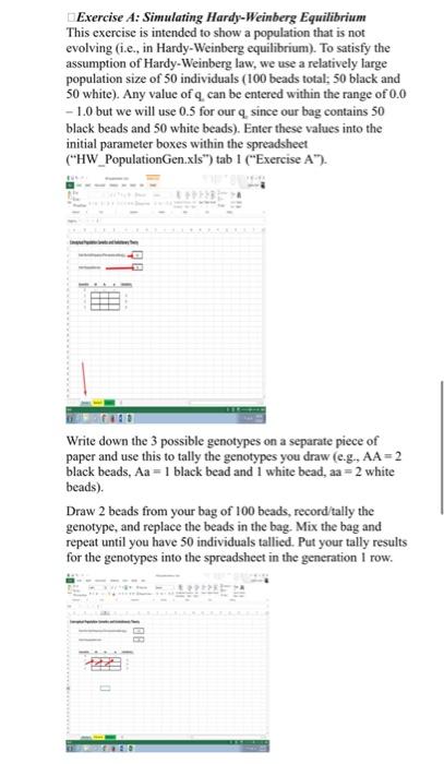 Solved Please Answer Exercise B. I Have Provided My Results | Chegg.com