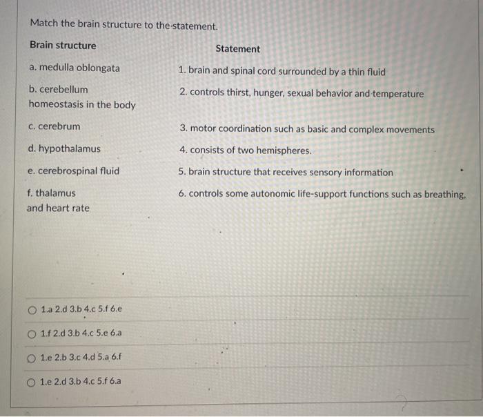 Solved Match the brain structure to the statement. Brain | Chegg.com