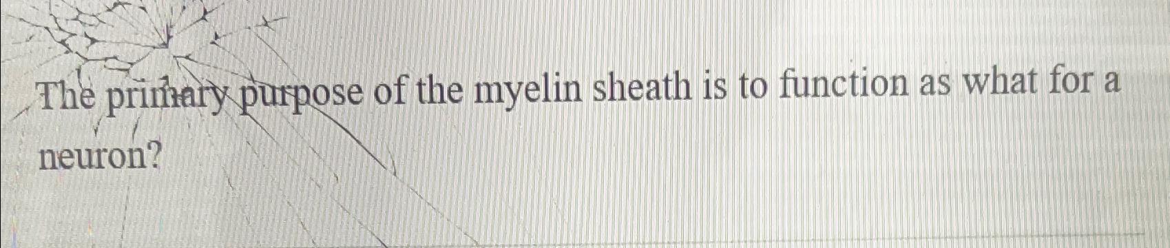 Solved The primary purpose of the myelin sheath is to | Chegg.com