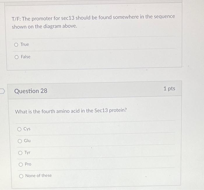 After getting an idea of where sec13 is located in | Chegg.com