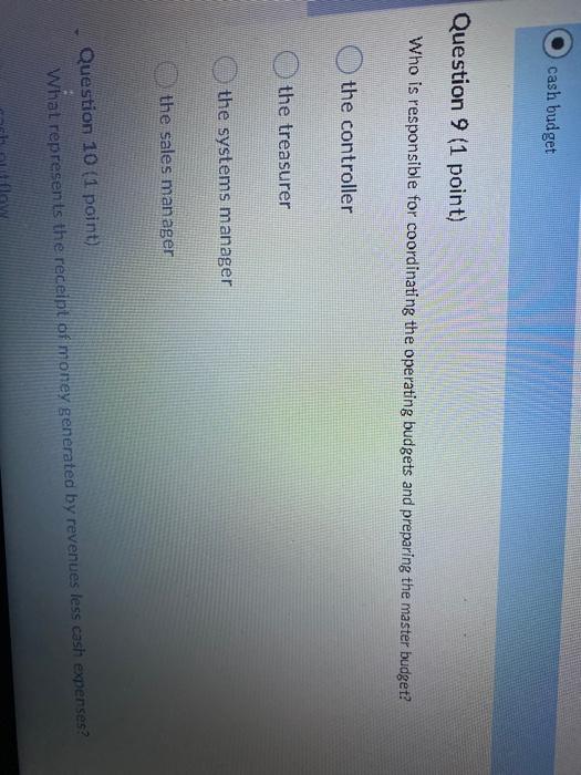 Solved the systems manager the sales manager Question 10 (1 | Chegg.com