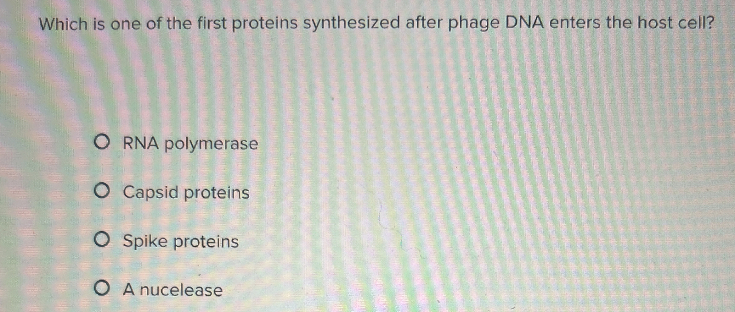 Solved Which is one of the first proteins synthesized after | Chegg.com