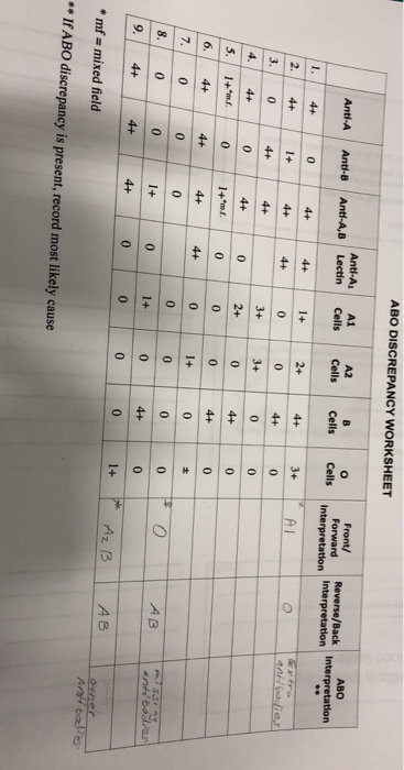 ABO DISCREPANCY WORKSHEET Anti-A Anti-B Anti-A,B | Chegg.com