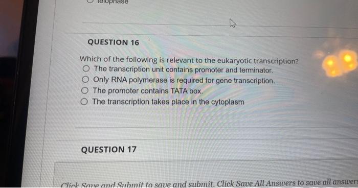 Solved Which of the following is relevant to the eukaryotic | Chegg.com