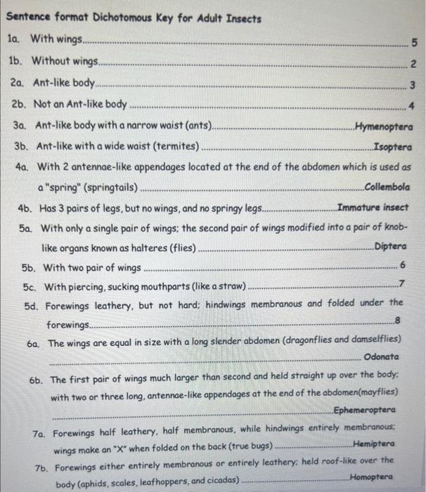 Solved Sentence format Dichotomous Key for Adult Insects 1a. | Chegg.com