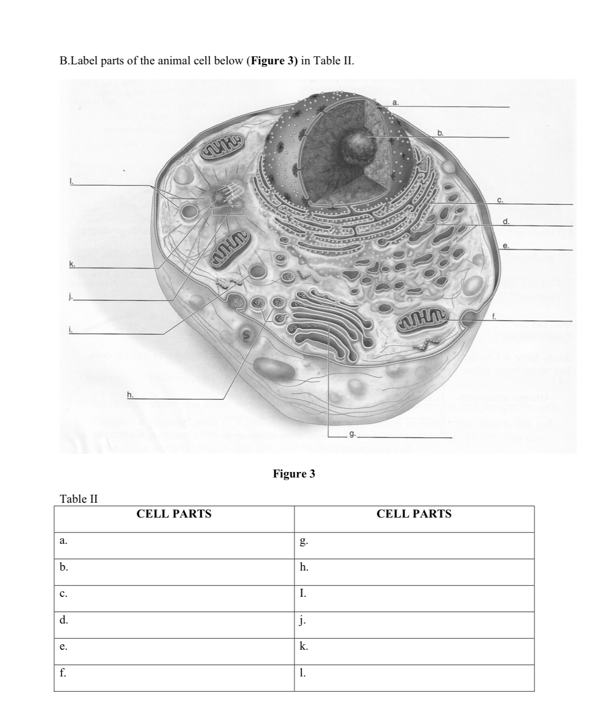 Solved B.Label parts of the animal cell below (Figure 3) ﻿in | Chegg.com