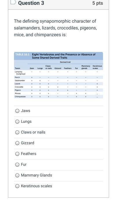 Solved Question 3 5 pts The defining synapomorphic character | Chegg.com