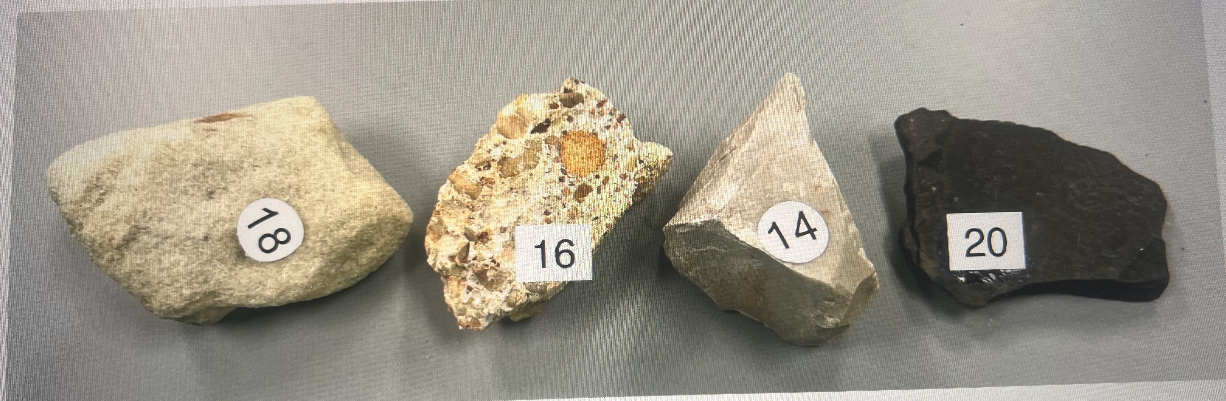 Solved What are the names of these samples and textures? | Chegg.com