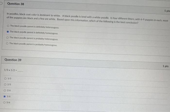 Solved Question 36 1/3+1/2= 5/6 1/6 2/5 1/15 2/8 Question 37 | Chegg.com