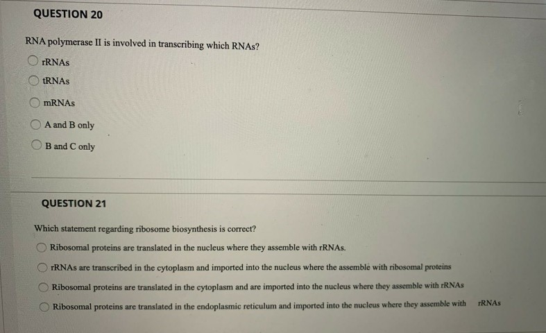 Solved QUESTION 20 RNA polymerase II is involved in | Chegg.com