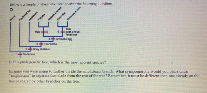 Solved QUESTION 1 Which Of The Following Describes The Mo