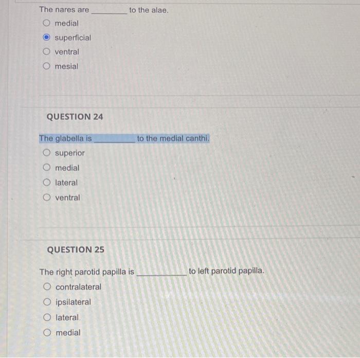 The nares are to the alae.
medial
superficial
ventral
mesial
QUESTION 24
The glabella is to the medial canthi.
superior
media