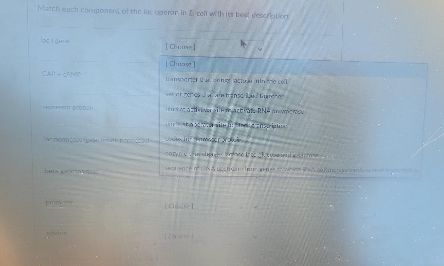 Solved Match each component of the lac operon in E. coli | Chegg.com